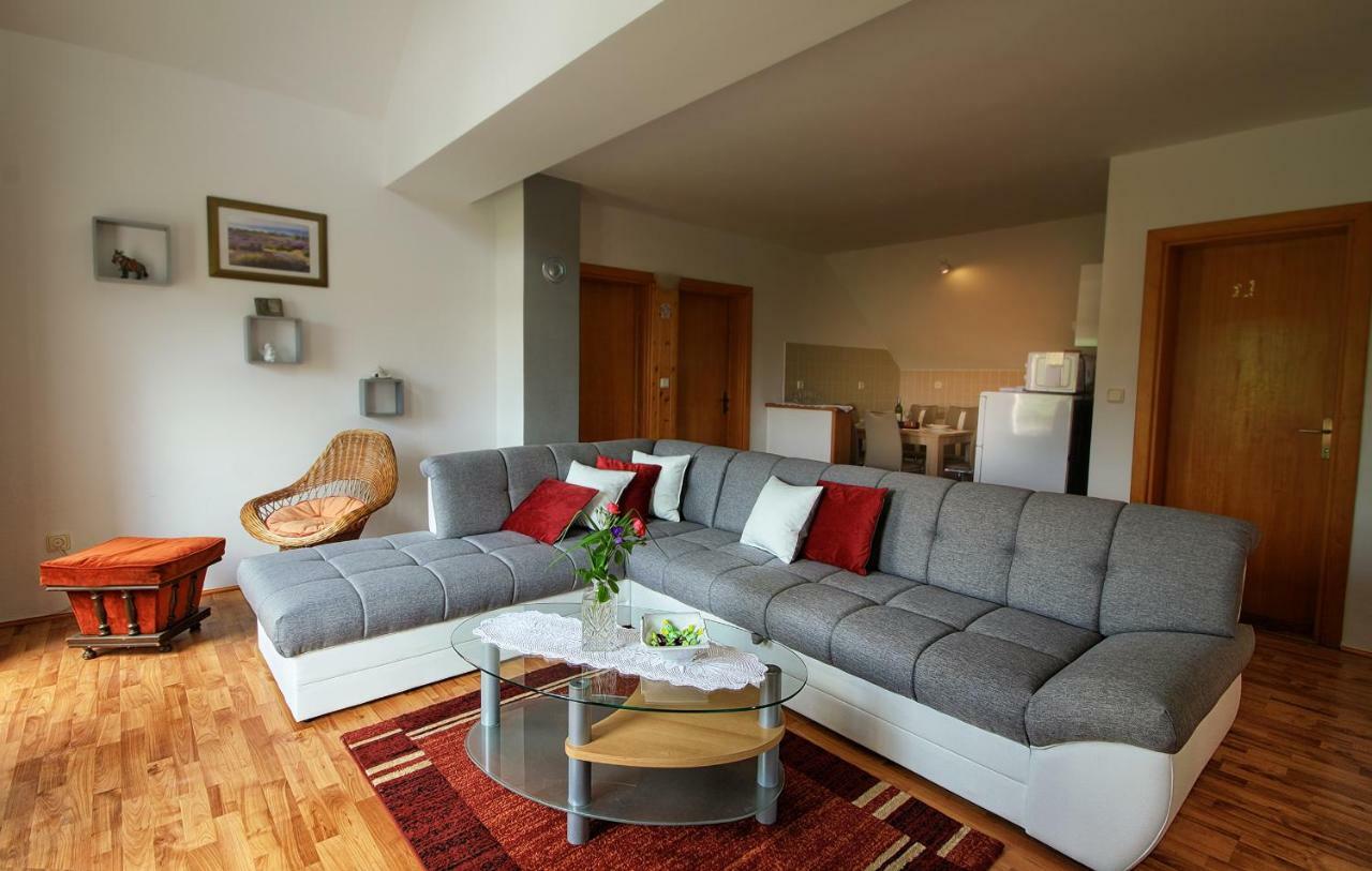 Apartment Medeni Rakovica